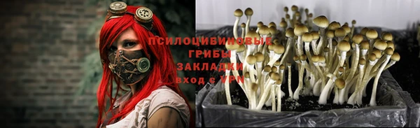 гидра Белокуриха