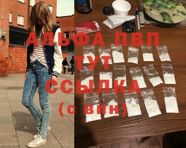 гидра Белокуриха