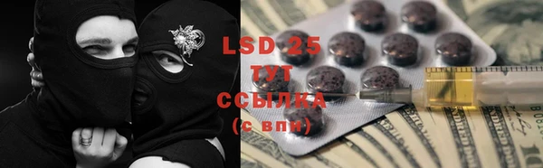 спиды Богородицк