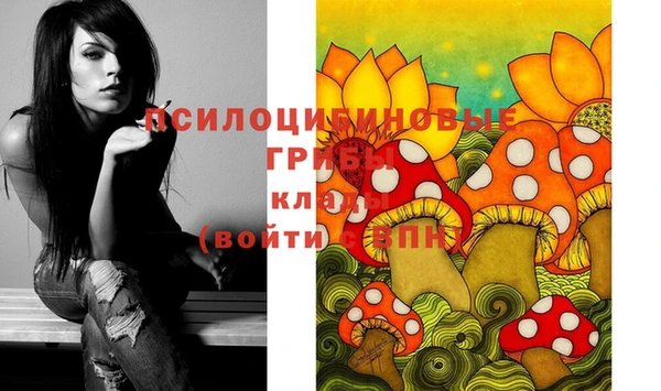 гидра Белокуриха
