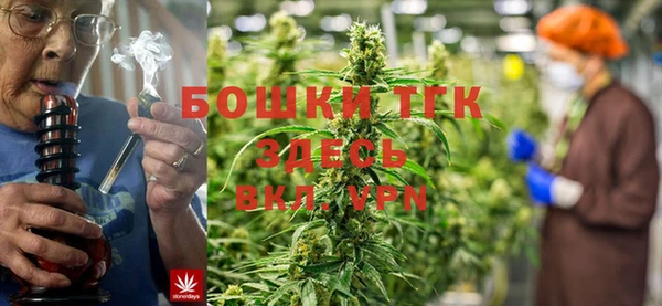 гидра Белокуриха